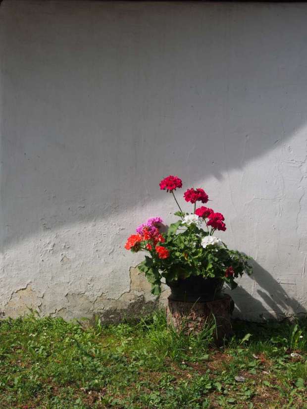 Freilicht Museum Maria Saal