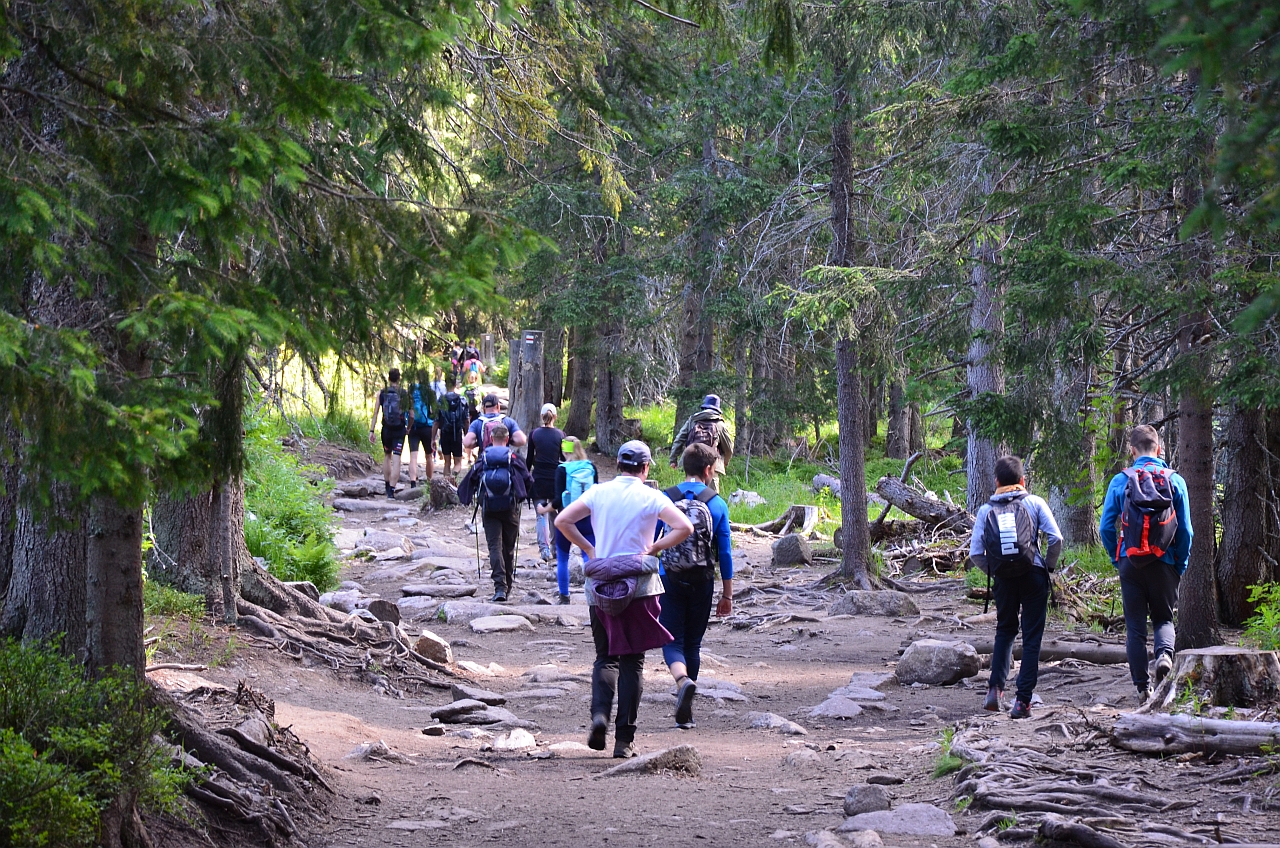 Zabie Rarara zabie_popradske_muntii_tatra_4
